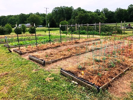 Teaching Garden at the Northern Neck Farm Museum